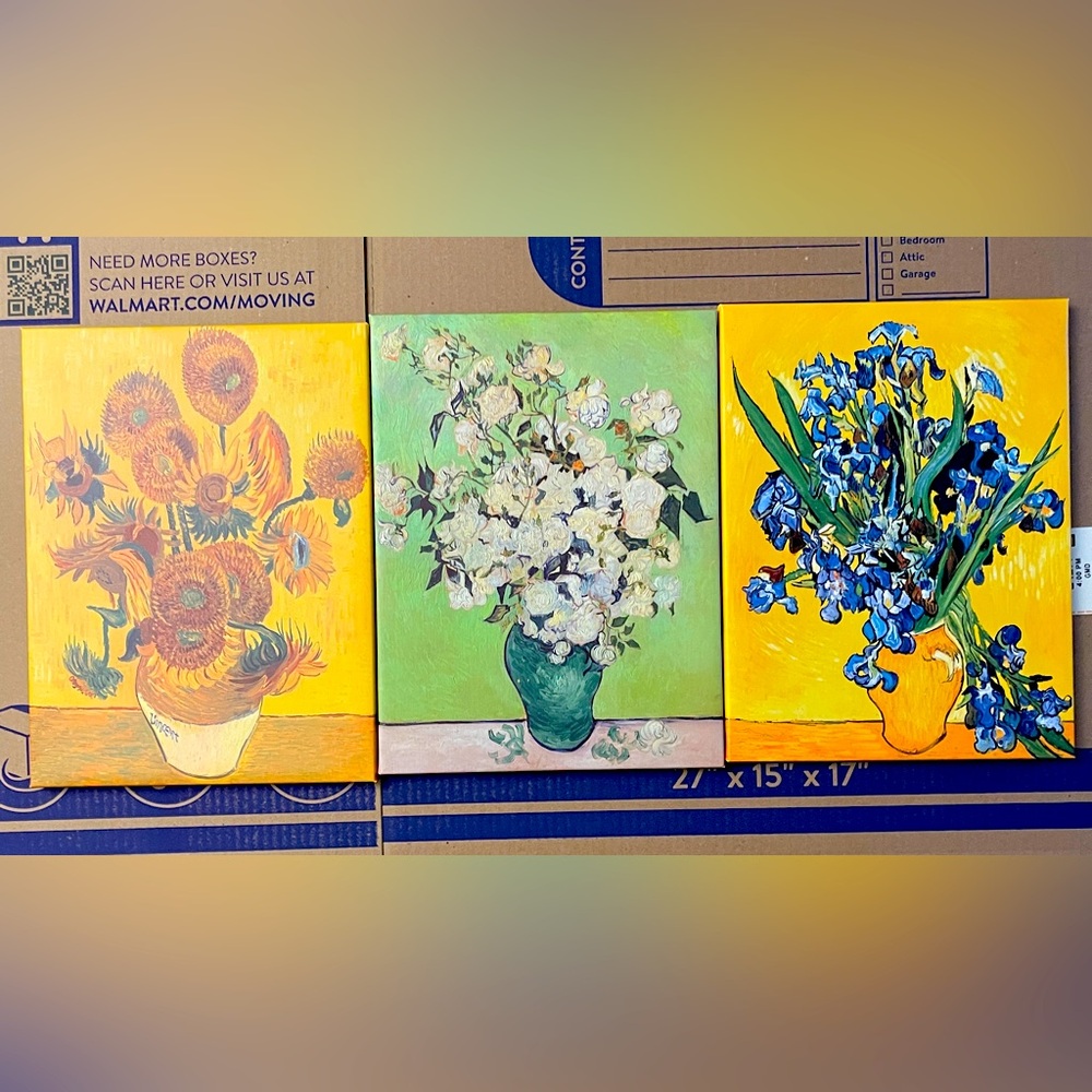 Vibrant Floral Canvas Trio - Picture 1 of 5